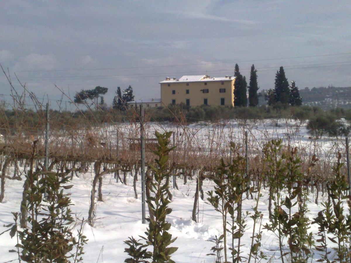 La Capannaccia ξενώνας Σκαντίτσι Εξωτερικό φωτογραφία